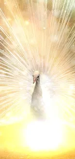 Ethereal peacock with vibrant feather display and radiant light.