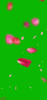 Green wallpaper with vibrant pink petals scattered throughout.