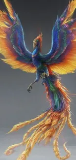 Vibrant phoenix with colorful fiery wings on a gray background.