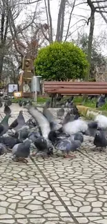 A lively group of pigeons gathered in a lush, green park area.