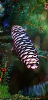 Close-up of a vibrant pine cone on a green, forested background.