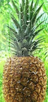 Vibrant pineapple with green leaves in a tropical setting.