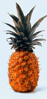 Vibrant orange pineapple against a light blue background.