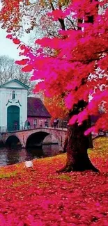 Vibrant pink autumn tree by a river with a scenic bridge backdrop.