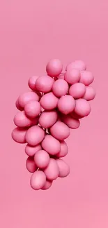 Elegant pink balloons shaped like grapes on a pink background.