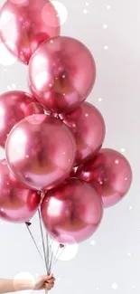 Hand holding vibrant pink balloons against light background.