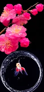 Pink blossoms and goldfish on black background.