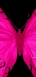 Vibrant pink butterfly with hearts on a contrasting black background.