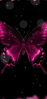 Vibrant dark pink butterfly on black background wallpaper.