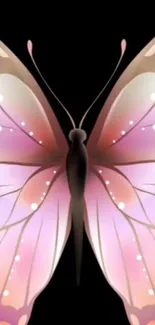 Elegant pink butterfly on black background mobile wallpaper.