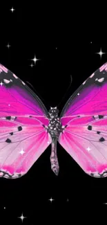 Pink butterfly with black background.