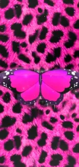 Pink butterfly on leopard print background wallpaper.