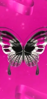 Pink butterfly with ribbons on magenta background wallpaper.