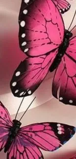 Vibrant pink butterfly wallpaper with elegant design.