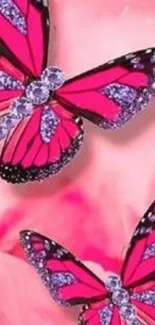 Two vibrant pink butterflies on a pink floral background.