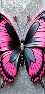 Pink and black butterfly with glittery background.