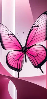 Vibrant pink butterfly with elegant wings on a colorful backdrop.