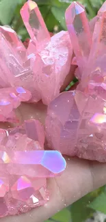 Hand holding vibrant pink crystals with sparkling facets.