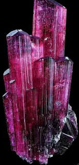 Striking magenta crystal on black wallpaper.