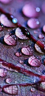 Pink water droplets on a textured leaf wallpaper.