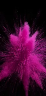 Abstract pink powder explosion on black background.