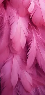 Vibrant pink feather wallpaper with a textured, chic appearance.