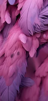 Pink feathered wallpaper with elegant textures and vibrant hues for phone screens.