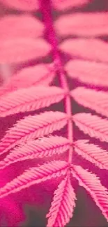 Vibrant pink fern leaf design, delicate and intricate.