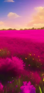 A vibrant field of flowers under a colorful sunset sky.