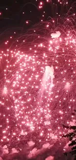 Vibrant pink fireworks lighting up the night sky.