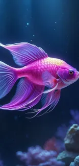 A vibrant pink fish swimming in a colorful underwater scene.