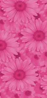 Vibrant pink floral wallpaper with daisies.