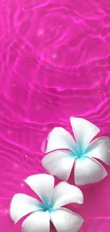 Pink wallpaper with white flowers and ripples.