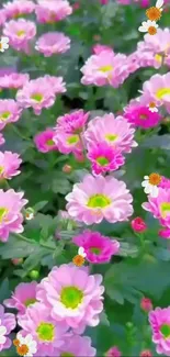 Pink flowers in a lush garden setting