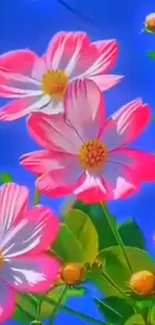 Pink flowers on a bright blue sky background.