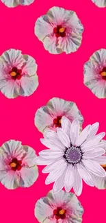 Vibrant pink wallpaper with floral pattern and delicate flowers.