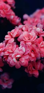 A vibrant pink floral wallpaper with enchanting blossoms on a dark background.