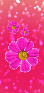 Vivid pink floral wallpaper with blossoms on a soft background.