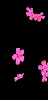 Vibrant pink floral wallpaper on black background.