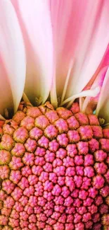 Close-up of vibrant pink floral wallpaper with intricate pattern.