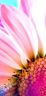 Close-up of a vibrant pink flower with detailed petals.