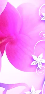 Vibrant pink floral mobile wallpaper with delicate designs.