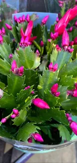 Vibrant pink flower bouquet with lush green leaves.