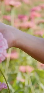 Hand touching pink flowers in a vibrant field.