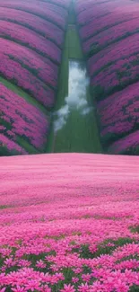 Vibrant pink flower fields with rolling hills in a captivating landscape.