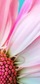 Close-up of vibrant pink flower petals on a mobile wallpaper background.