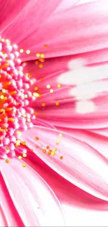 Close-up of a vibrant pink flower with detailed petals.