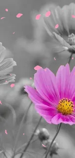 Pink flower stands out against grey backdrop.