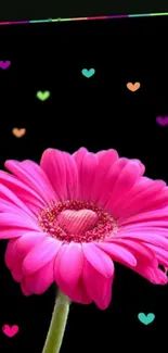 Vibrant pink flower with colorful hearts on a black background.