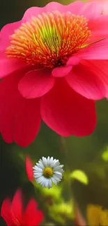 Vibrant pink flower with tiny white daisy on blurred green background.